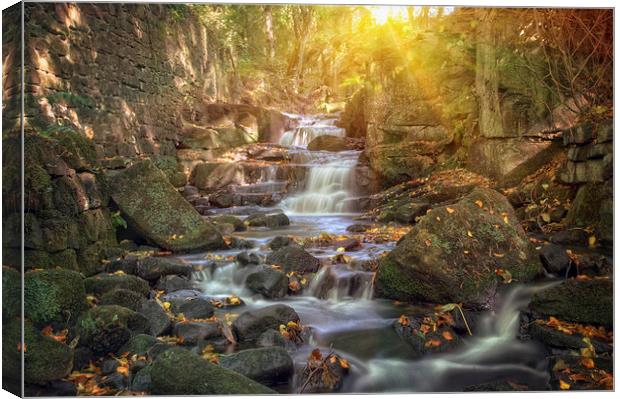 Lumsdale valley Canvas Print by Jason Green