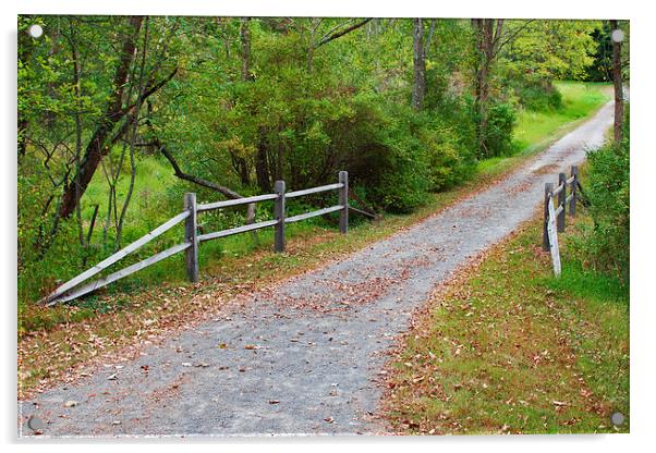 Dales Ridge Trail Late Summer Acrylic by Scott Hubert