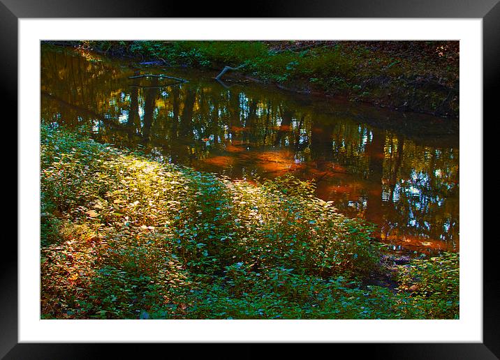 Stream Reflection with Dappled Sunlight Framed Mounted Print by Scott Hubert