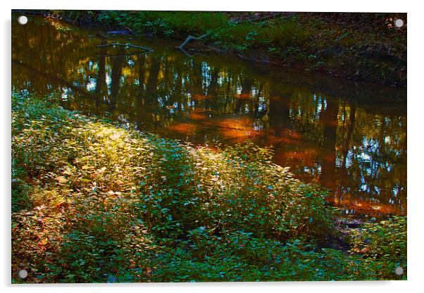 Stream Reflection with Dappled Sunlight Acrylic by Scott Hubert
