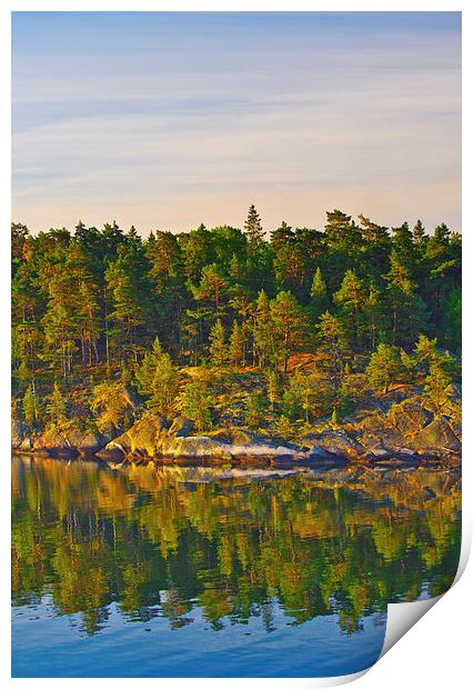 Wooded island at dawn Swedish coast Stockholm Arch Print by Marianne Campolongo