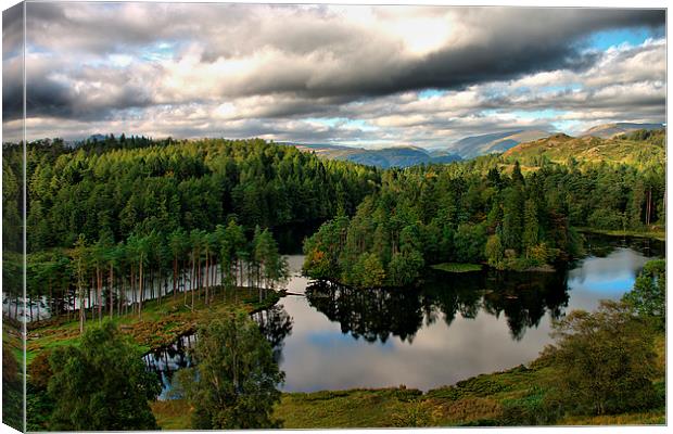 Autumn at Tarn Hows Canvas Print by Jacqi Elmslie