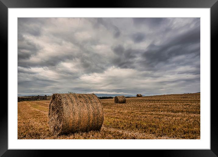 Hay bales Framed Mounted Print by Sam Smith