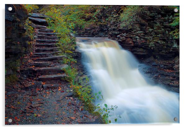 Waterfall Stone Steps Acrylic by Scott Hubert