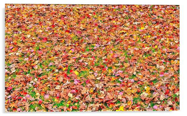Fall Leaves Acrylic by Marianne Campolongo