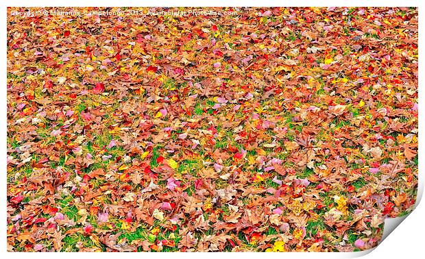 Fall Leaves Print by Marianne Campolongo