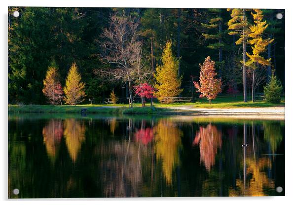 Autumn Reflection Acrylic by Scott Hubert