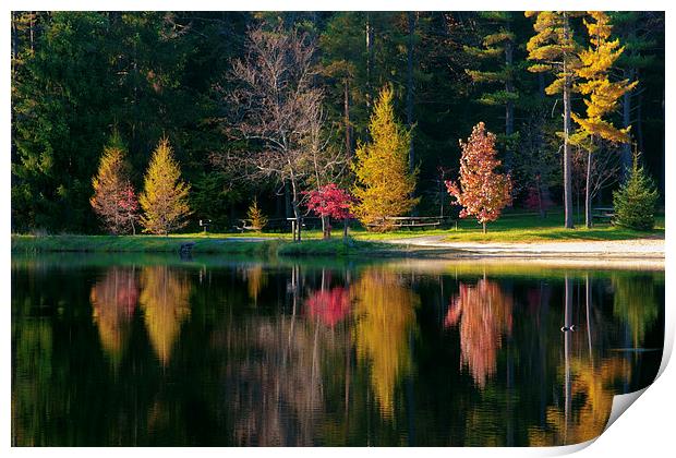 Autumn Reflection Print by Scott Hubert