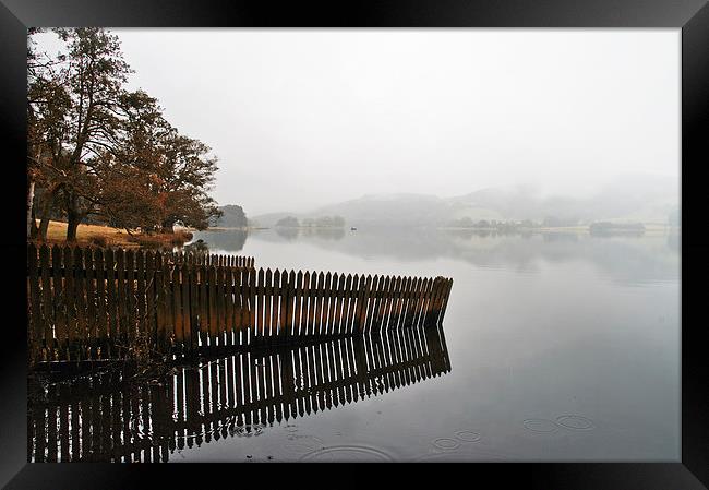 Misty Autumn Morning Framed Print by Jacqi Elmslie