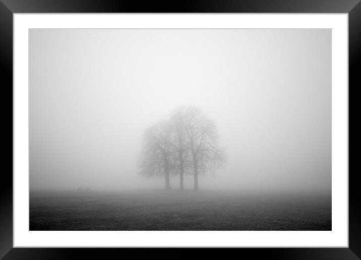 Early morning mist Framed Mounted Print by Perry Johnson