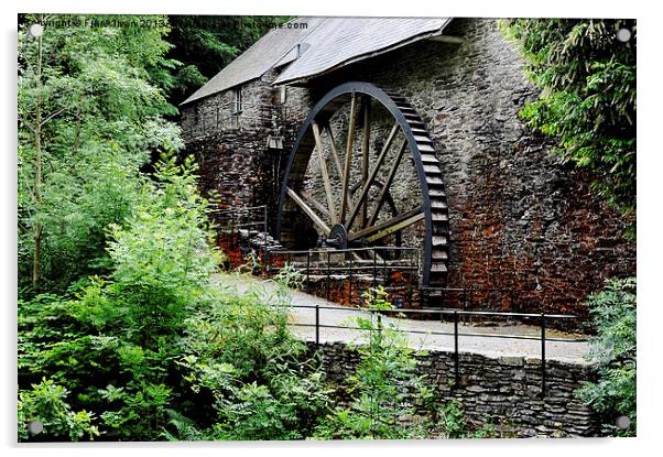 Water wheel from times gone by Acrylic by Frank Irwin