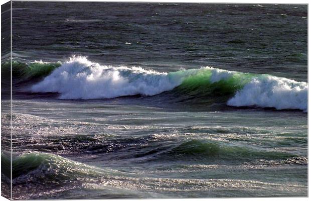 The Green Wave Canvas Print by Roger Butler