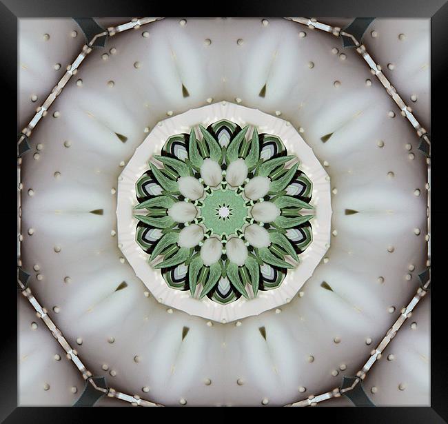 Green and white abstract Framed Print by Ruth Hallam