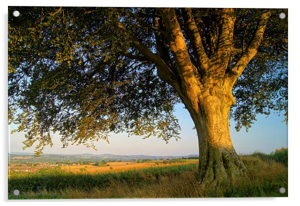 The Sentinel, Chard, Somerset Acrylic by Darren Galpin