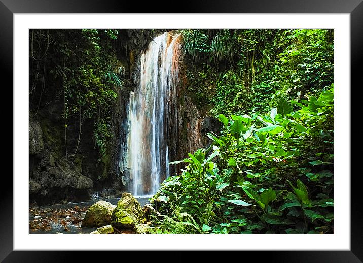 Tropical Waterfall Framed Mounted Print by Pauline Lewis