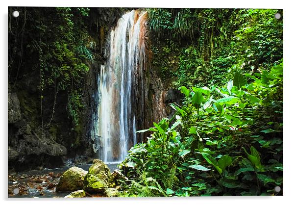 Tropical Waterfall Acrylic by Pauline Lewis