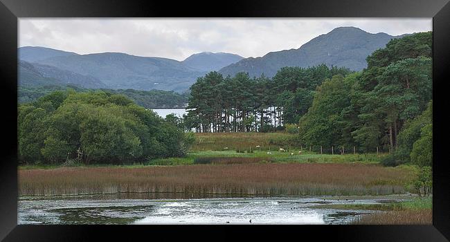 Lough Leane Killarney Ireland Framed Print by Jane McIlroy