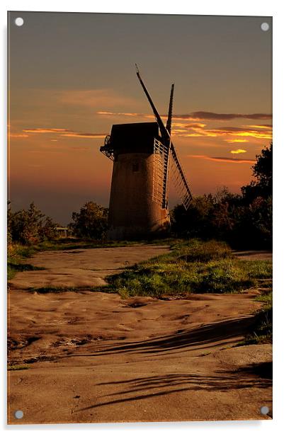 Bidston hill windmill Acrylic by Robert Fielding