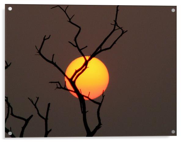 sunset Acrylic by anurag gupta