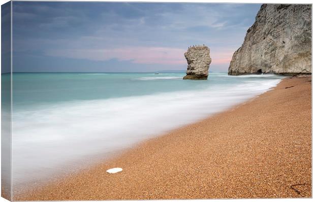 The Stack at Bats Head, Durdle Door Canvas Print by Chris Frost