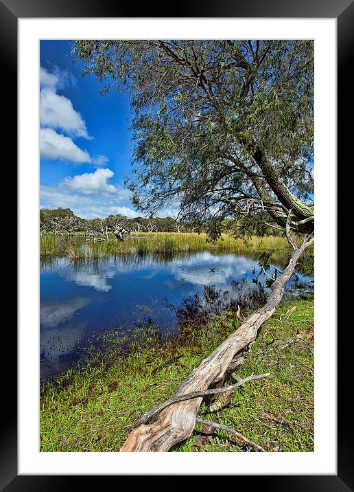 Margaret River Area SW Australia Framed Mounted Print by Andy Anderson