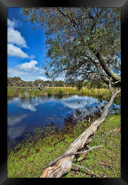 Margaret River Area SW Australia Framed Print by Andy Anderson