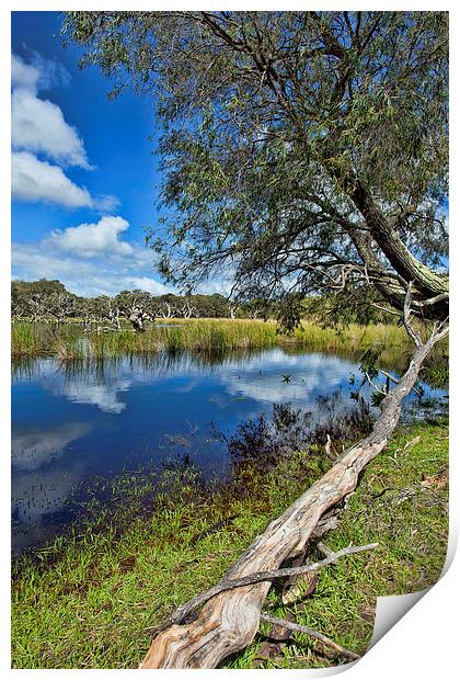 Margaret River Area SW Australia Print by Andy Anderson
