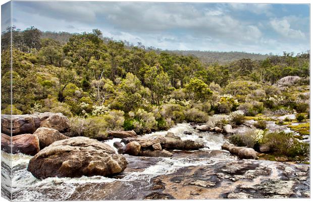 Hovea Falls Western Australia Canvas Print by Andy Anderson