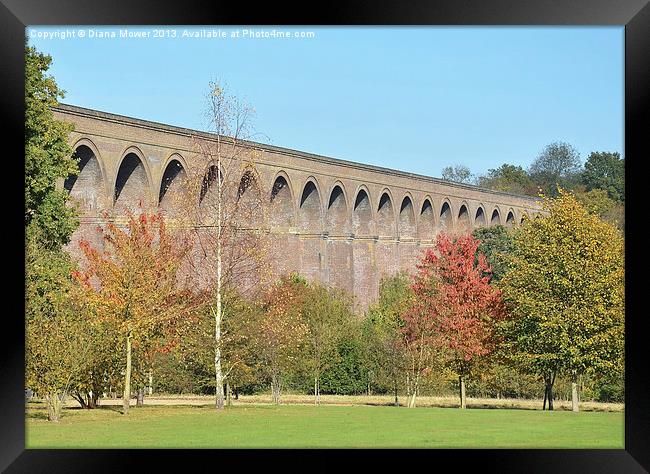 Chappel Viaduct Essex Framed Print by Diana Mower