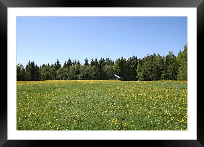 Flower meadow Framed Mounted Print by Hemmo Vattulainen