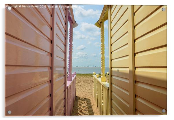 View through the huts West Mersea Essex Acrylic by Diana Mower