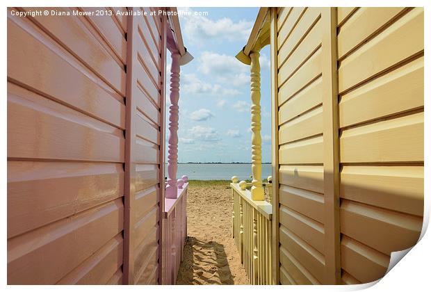 View through the huts West Mersea Essex Print by Diana Mower