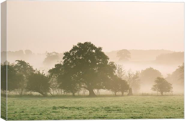 Sunrise burning through heavy fog over countryside Canvas Print by Liam Grant