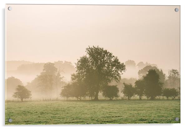 Sunrise burning through heavy fog over countryside Acrylic by Liam Grant