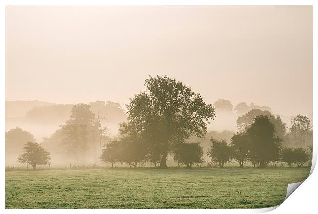 Sunrise burning through heavy fog over countryside Print by Liam Grant