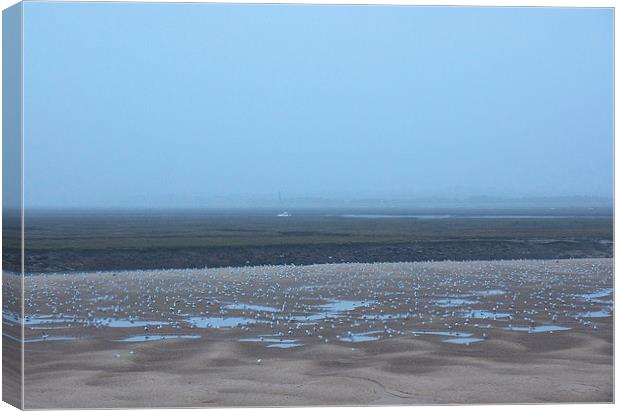 Gulls on mud flats at low tide on a foggy evening. Canvas Print by Liam Grant