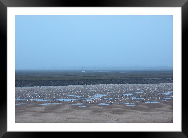 Gulls on mud flats at low tide on a foggy evening. Framed Mounted Print by Liam Grant