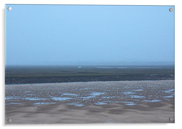 Gulls on mud flats at low tide on a foggy evening. Acrylic by Liam Grant