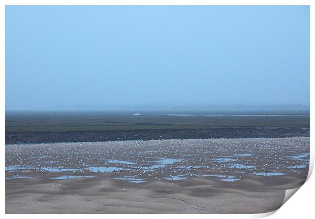 Gulls on mud flats at low tide on a foggy evening. Print by Liam Grant