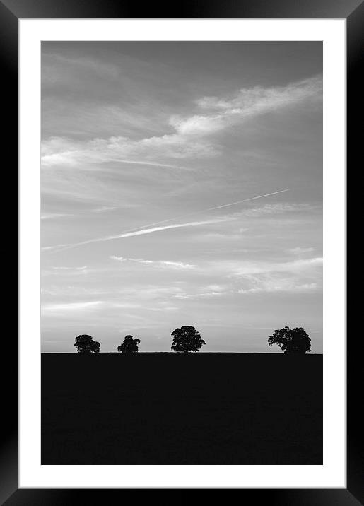 Trees on the horizon below a twilight evening sky. Framed Mounted Print by Liam Grant