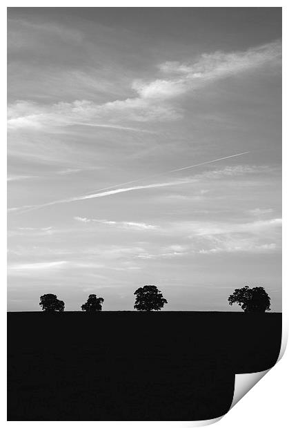 Trees on the horizon below a twilight evening sky. Print by Liam Grant