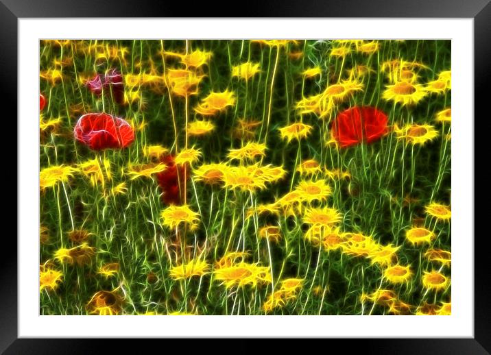 Field of Flowers Framed Mounted Print by Scott Anderson