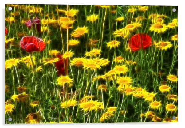 Field of Flowers Acrylic by Scott Anderson