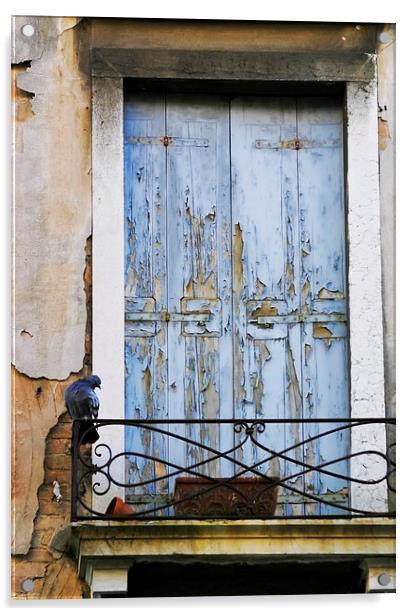 Venice Door Acrylic by Belinda Greb