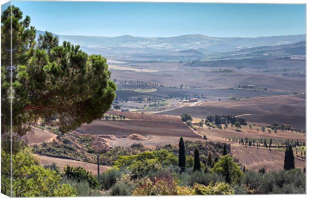 Tuscan Valley Canvas Print by Stephen Mole
