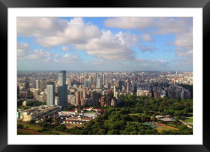 Down Town Buenos Aries Framed Mounted Print by Carole-Anne Fooks