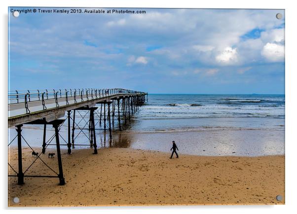 The Beach Walker Acrylic by Trevor Kersley RIP