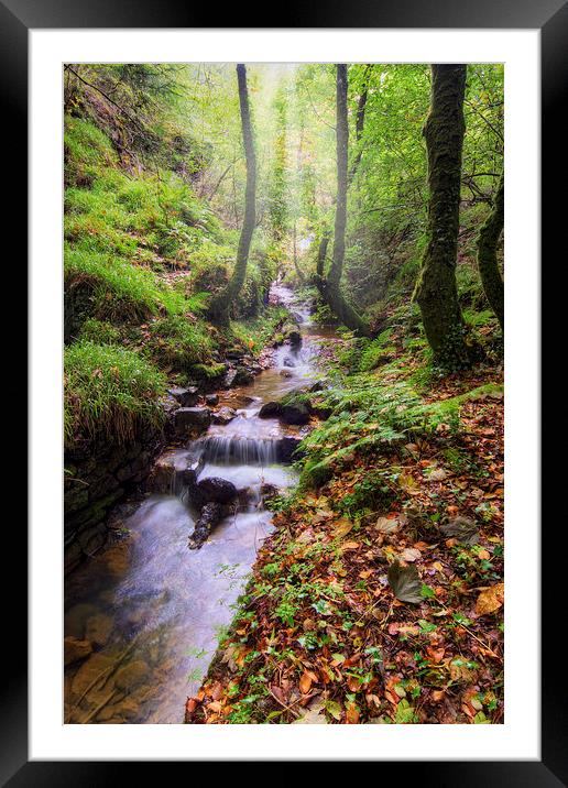 Autumn Forest Stream Framed Mounted Print by Ian Mitchell