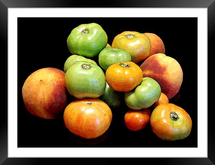 Silhouetted Fruit and Vegetables Framed Mounted Print by james balzano, jr.