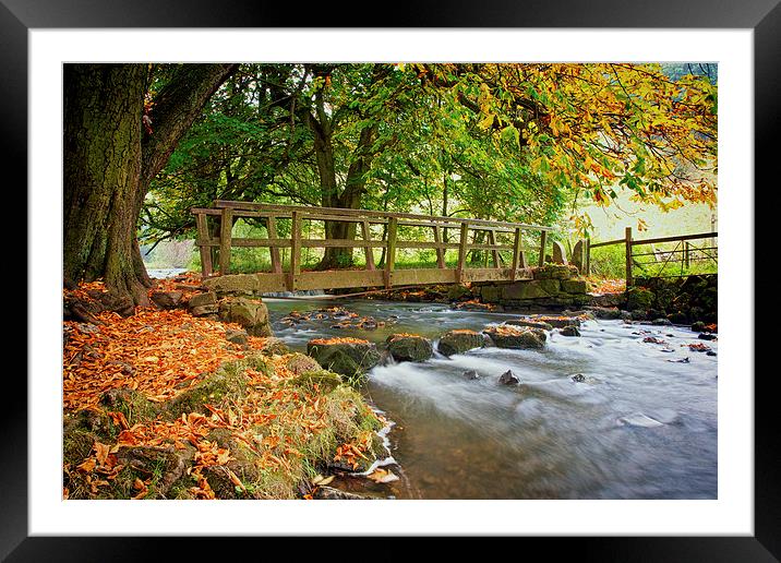 Autumn In Beresford Dale Framed Mounted Print by Steve Wilcox